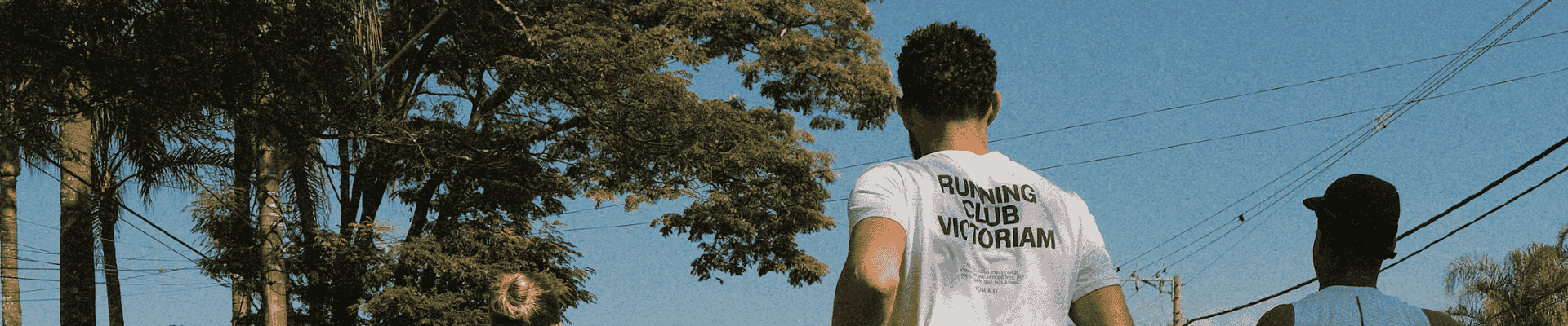 collection-banner-image